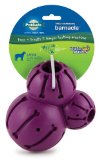 PetSafe Busy Buddy Barnacle Dog Toy, Large
