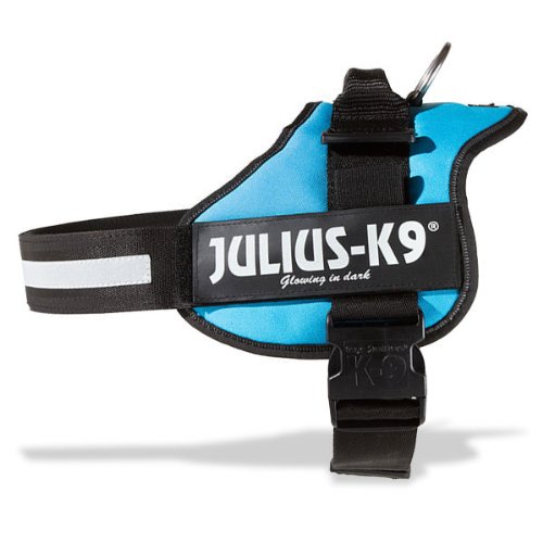 Julius-K9 Powerharness, aqua-marine, Size 3